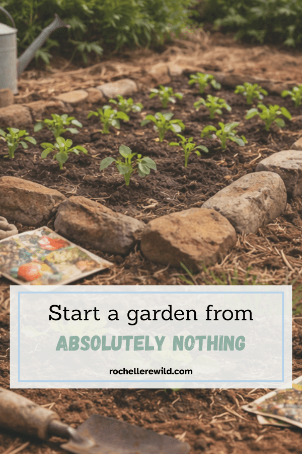 start a garden from absolutely nothing