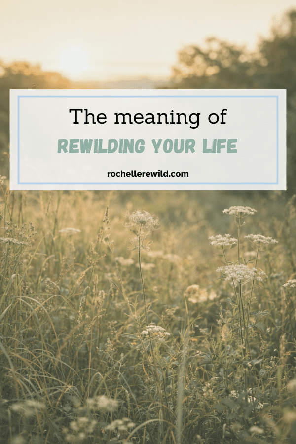 the meaning of rewilding your life