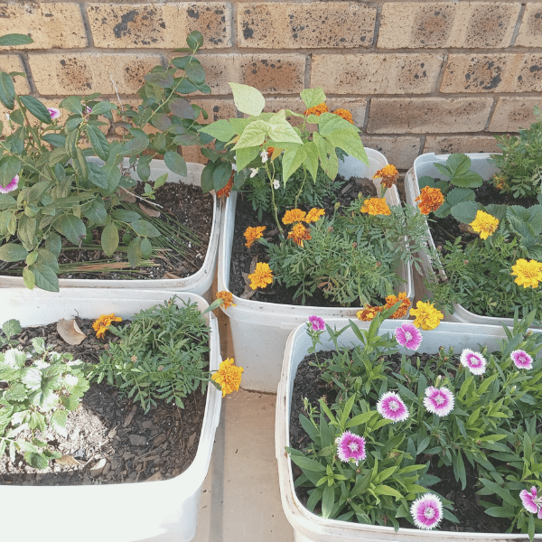 living sustainably