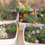 living sustainably